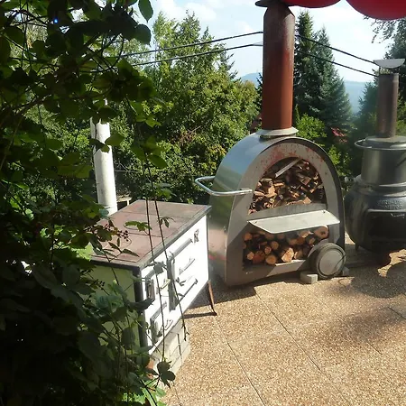Galya Garden *