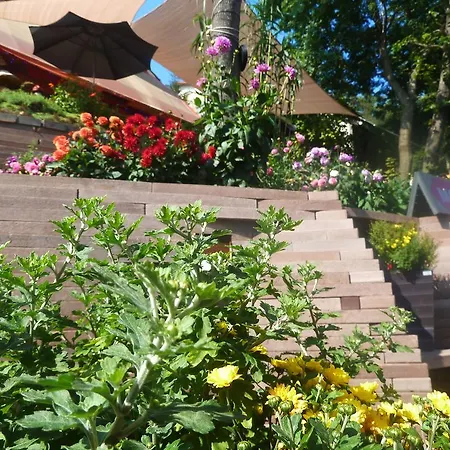 Galya Garden *